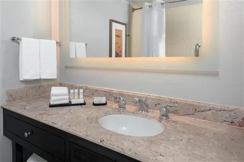 جناح بريميير، Embassy Suites By Hilton Dallas Park Central Area 1/1