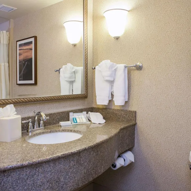 جناح جونيور بسريرين كوين مع أريكة، Hilton Garden Inn Boise/Eagle 5/5
