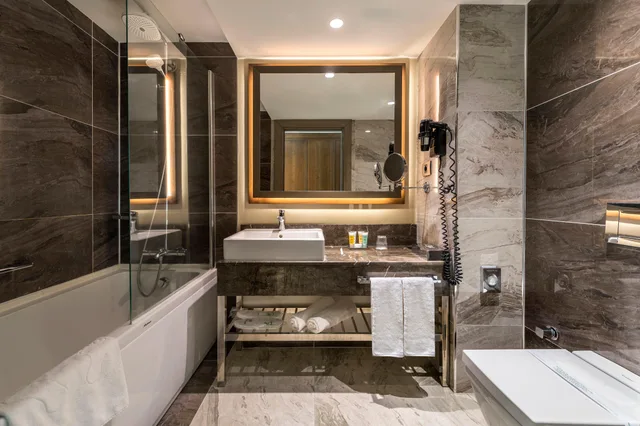 غرفة بريميوم بسرير مزدوج، HOLIDAY INN KAYSERI - DUVENONU 3/3