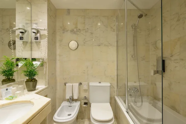 غرفة ديلوكس بسرير كينج، Hotel Dom Carlos Park 9/9