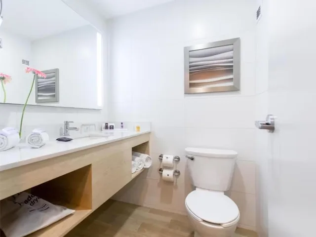 جناح جونيور بسرير كينج مع أريكة، Gran Hotel De Puebla by HNF 2/3