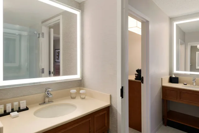 جناح بريميوم ركني بسريرين مزدوجين، Embassy Suites by Hilton Orlando International Drive ICON Park 2/2