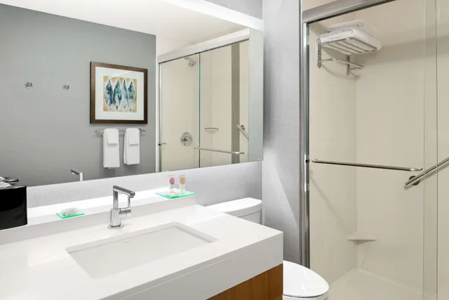 جناح بسرير كينج، Hyatt Place Pasadena 2/4