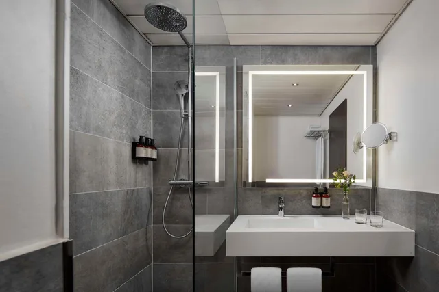 غرفة سوبيريور بسرير كينج، Avani Frankfurt City Hotel 4/6