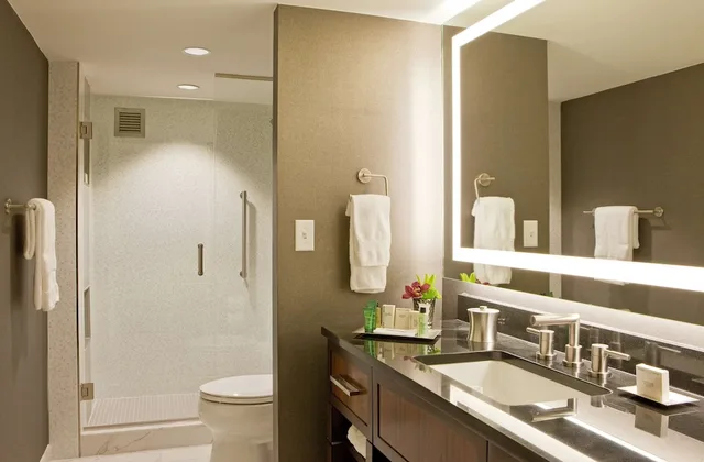 جناح تنفيذي تنفيذي بسرير كينج مع دخول الصالة، HILTON NASHVILLE-DOWNTOWN 3/3