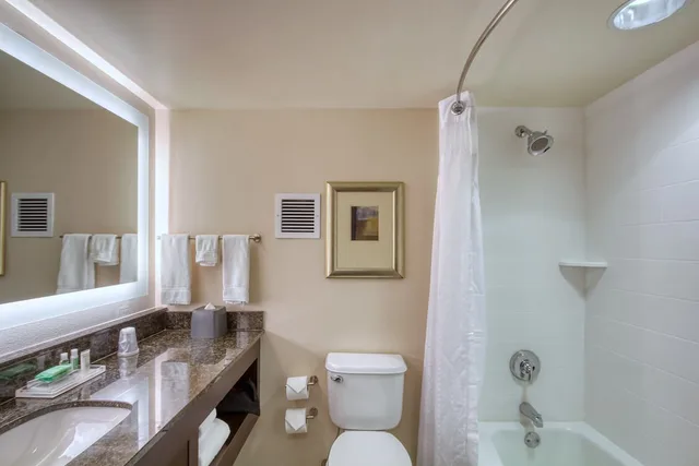 جناح بسرير كينج بغرفة نوم واحدة بمنطقة جلوس، Holiday Inn Hotel Suites Atlanta Airport North 5/5
