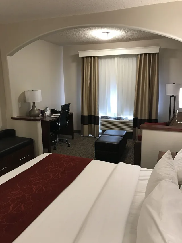 Studio, Suite, King Bed, Sofa, Comfort Suites Near Six Flags Magic Mountain 2/10