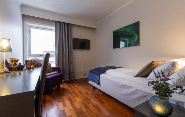 غرفة مفردة، Enter Viking Apartment 4/8