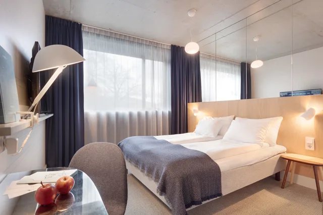 غرفة قياسية مفردة، ZANDER K HOTEL 2/11