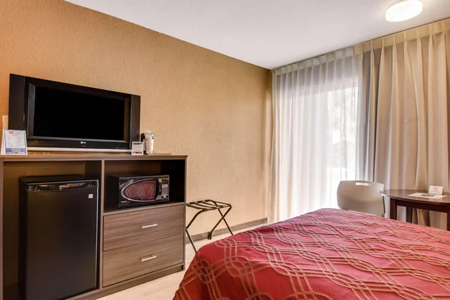 غرفة رباعية بسريرين مزدوجين، Econo Lodge Tampa near Busch Gardens 4/6