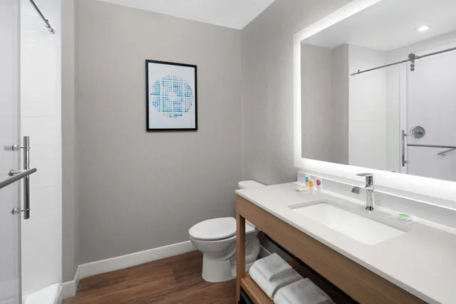 Specialty, King Bed, Sofa، Hyatt Place Atlanta / Perimeter Center 1/1