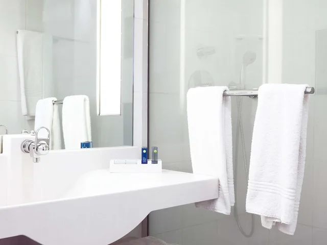 غرفة كلاسيكية بسرير مزدوج وسريرين منفصلين، NOVOTEL LIMOGES LE LAC 9/9