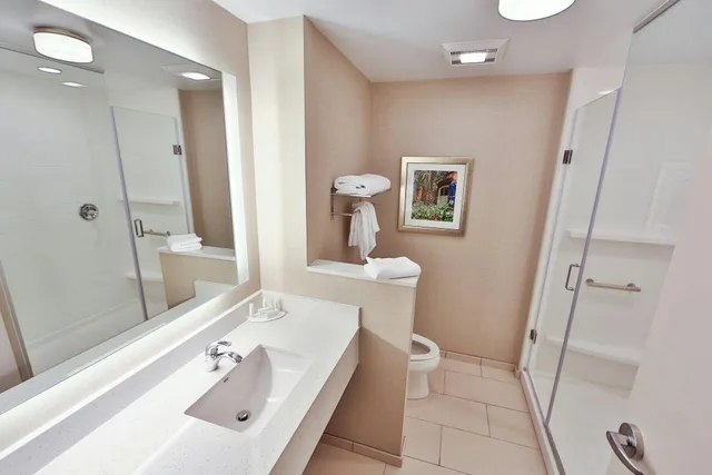 جناح ديلوكس بسرير كينج مع أريكة، Fairfield Inn And Suites Savannah Midtown 4/4