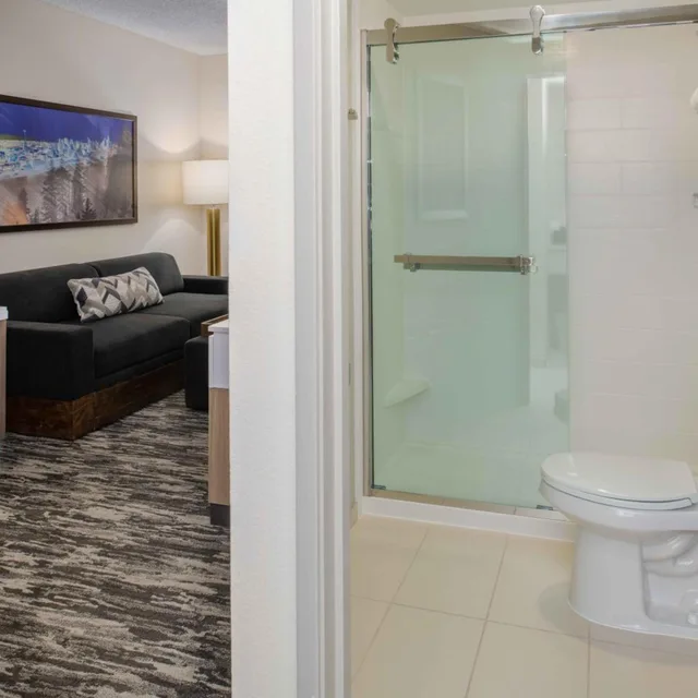 Executive, Suite, 2 Queen Beds, Sofa, Springhill Suites Seattle Downtown South Lake Union 5/6