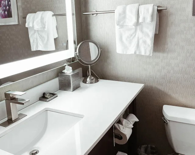 غرفة قياسية بسريرين كوين لذوي الإعاقة، Crowne Plaza Chicago Sw Burr Ridge 5/7