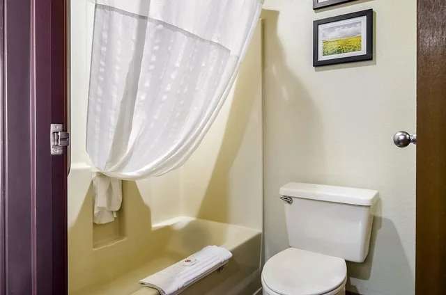 غرفة قياسية بسريرين كوين، Comfort Inn Lexington 7/8