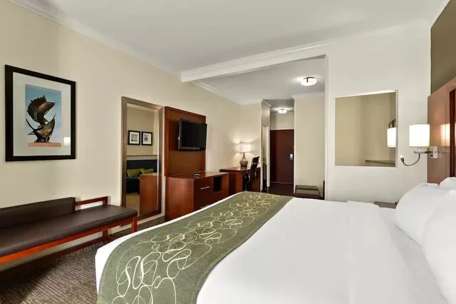 جناح بسرير كينج مع أريكة لذوي الإعاقة، Comfort Suites Corpus Christi Central 3/10