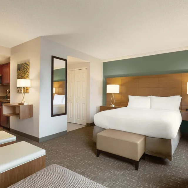 Studio, Suite, Staybridge Suites Tampa East Brandon 1/4