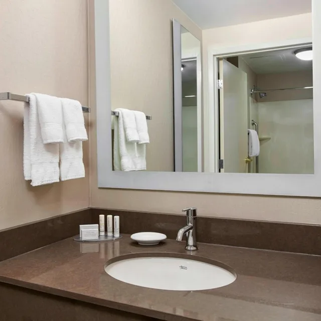 Suite, King Bed, Sofa, Bathtub, Accessible, Springhill Suites By Marriott Chicago Schaumburg 1/4