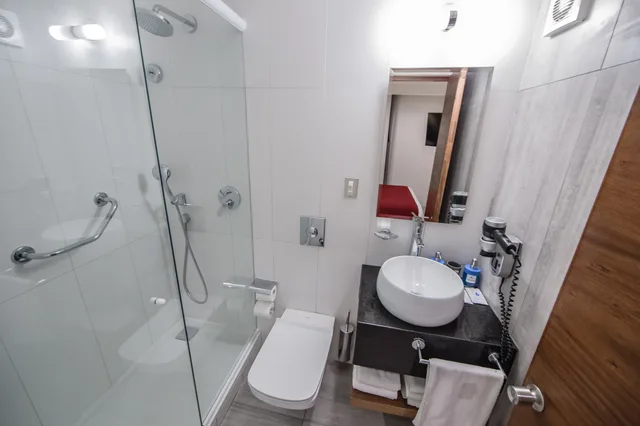 غرفة قياسية مفردة، Hotel Sommelier Agustinas 9/10
