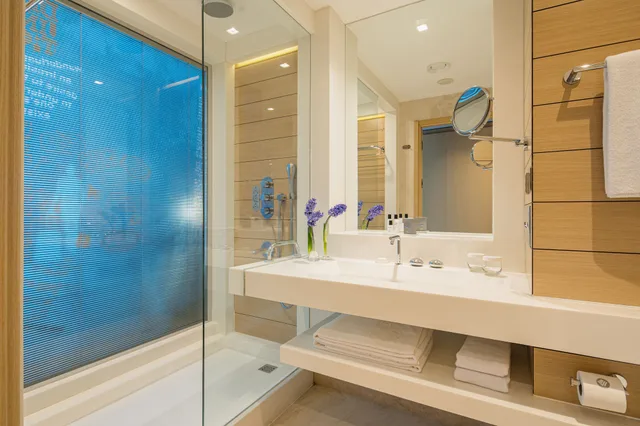 غرفة قياسية مفردة، Wyndham Ankara 10/11