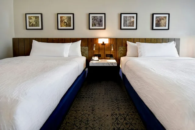 غرفة بسريرين كوين بحوض استحمام لذوي الإعاقة، Hilton Garden Inn Jackson Tn 1/7