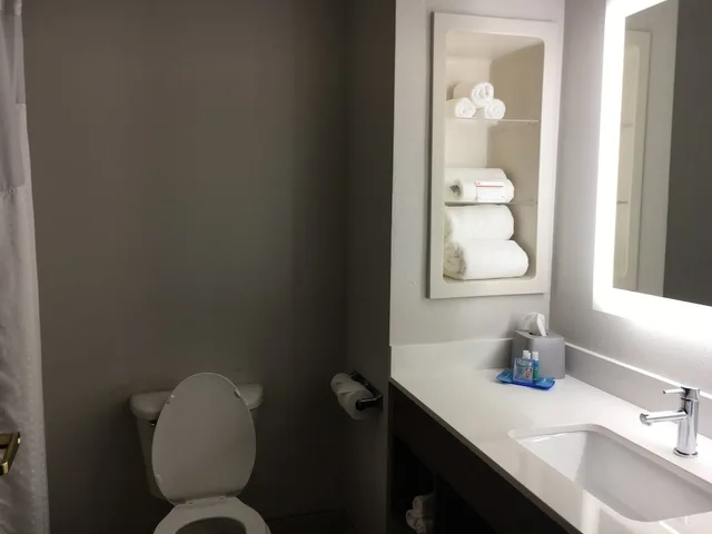 جناح بسرير كينج مع أريكة بمنطقة جلوس، Holiday Inn Express Hotel Suites Thomasville 2/2