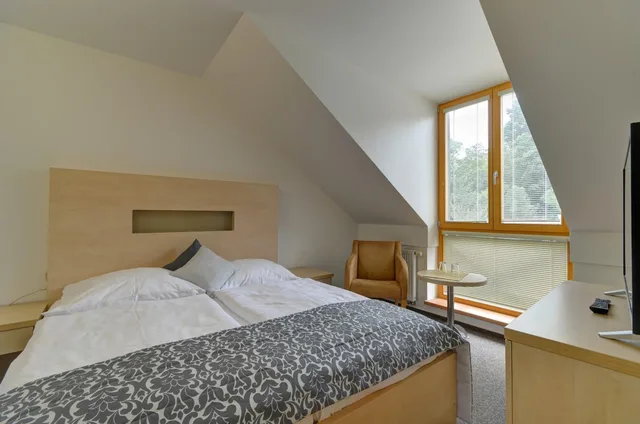 غرفة قياسية بسرير مزدوج أو سريرين منفصلين، U Pramenu Hotel 3/10