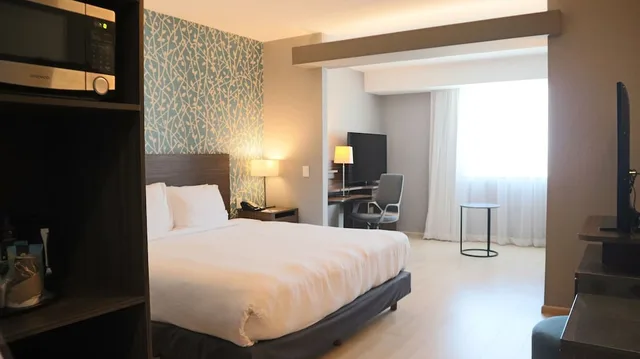 جناح بسرير كينج مع أريكة، Fairfield Inn Suites Aguascalientes 3/8