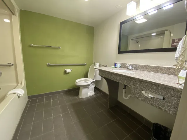 غرفة قياسية بسرير كينج، Sleep Inn Atlanta Airport 3/3