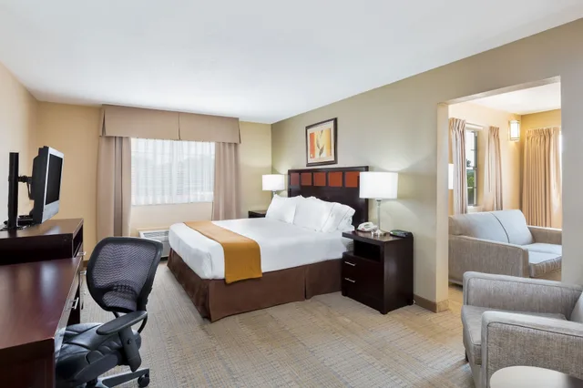 جناح بسرير كينج لذوي الإعاقة، Holiday Inn Express Palestine 4/6