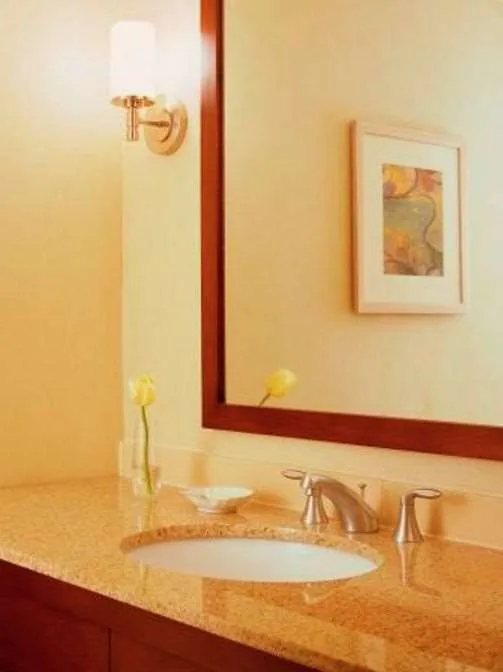 غرفة بسرير كينج بحوض استحمام لذوي الإعاقة، DoubleTree by Hilton Chicago - North Shore Conference Center 1/1