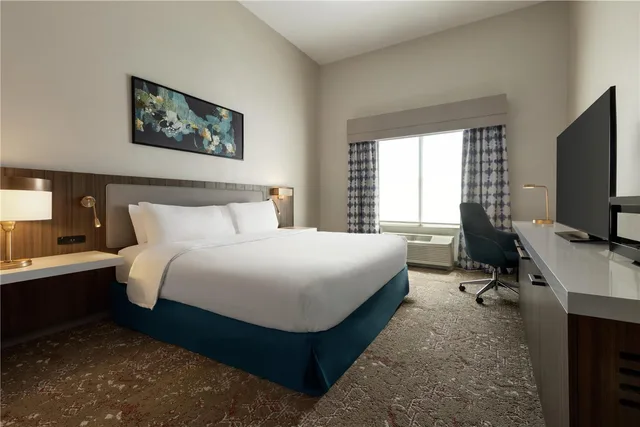 غرفة بسرير كينج لذوي الإعاقة، Hilton Garden Inn Riverhead 2/3