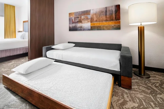 جناح استوديو بسريرين مزدوجين، Springhill Suites Scottsdale North 1/6