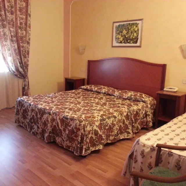 غرفة قياسية ثلاثية، Minerva Palace 4/6
