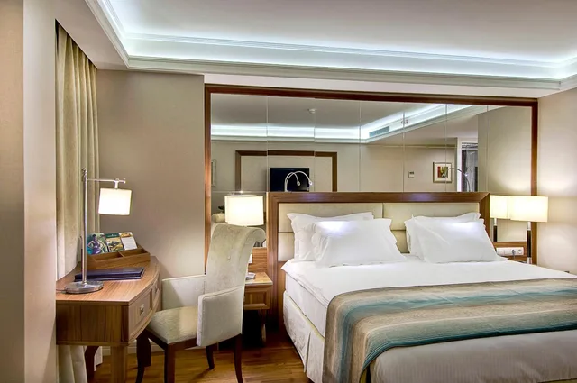 غرفة قياسية بسرير مزدوج أو سريرين منفصلين، Marigold Thermal And Spa Hotel Bursa 8/10
