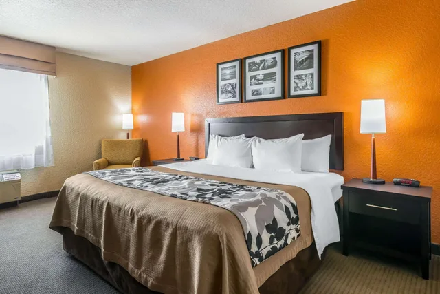 غرفة بسرير كينج، Sleep Inn & Suites Ocala - Belleview 1/1