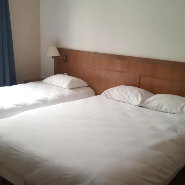 غرفة ثلاثية، HOTEL DE LA PERDRIX ROUGE 5/7