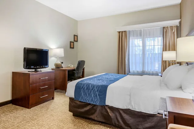 Standard, King Bed, Comfort Inn Downtown University Area 4/5