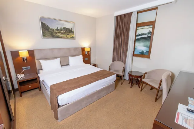 Basic, King Bed, Diamond Hotel Baku 4/10
