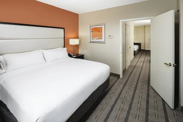 Suite, King Bed, Accessible, Holiday Inn Express And Suites Duluth Mall Area 1/5
