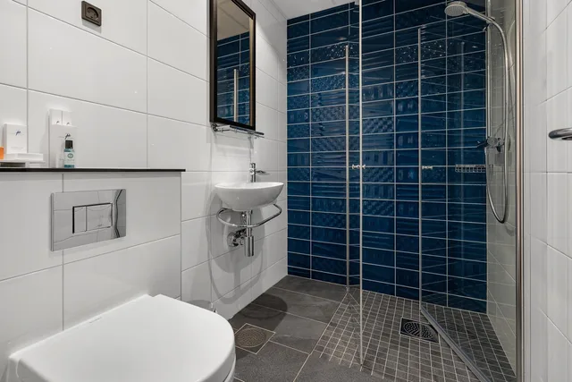 غرفة كلاسيكية مفردة، Profilhotels Richmond 21/21