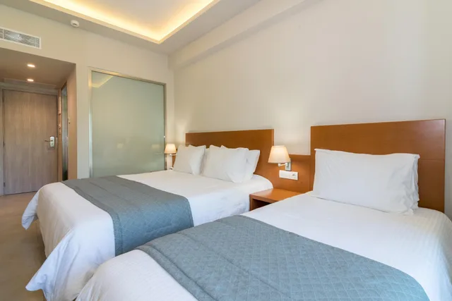 غرفة قياسية، Palmyra Hotel 1/1