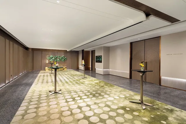Hotel Indigo Chengdu Financial City by IHG, Chengdu 43/50