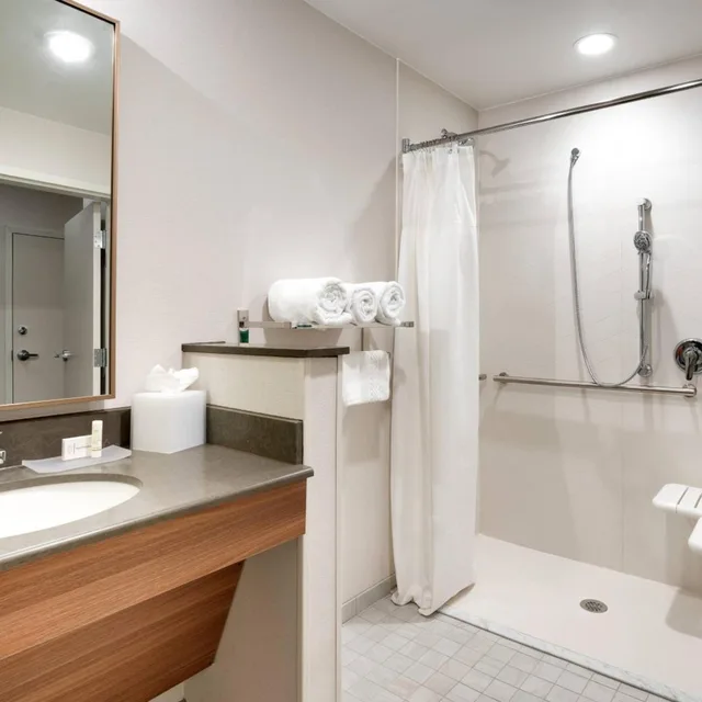 غرفة بسرير كينج بحوض استحمام لذوي الإعاقة، Fairfield Inn And Suites Denver West Federal Center 3/4