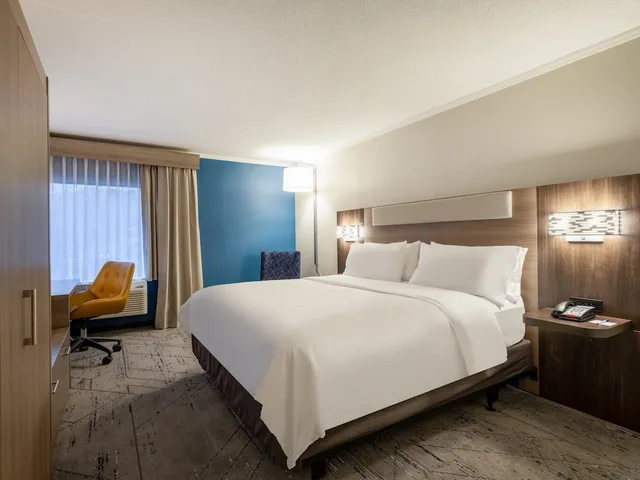 غرفة قياسية بسرير كينج، Holiday Inn Express & Suites Greensboro - (I-40 @ Wendover) 2/5