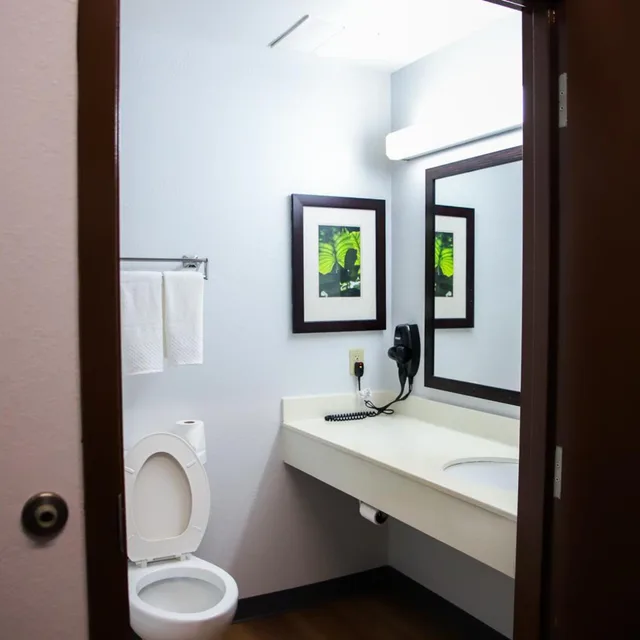 شقة بغرفة نوم واحدة، MainStay Suites Chicago Hillside 5/6