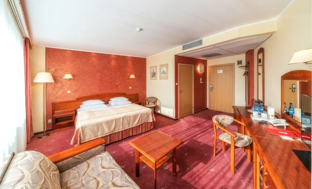غرفة سوبيريور بسرير مزدوج، Hotel Park Plaza 3/10
