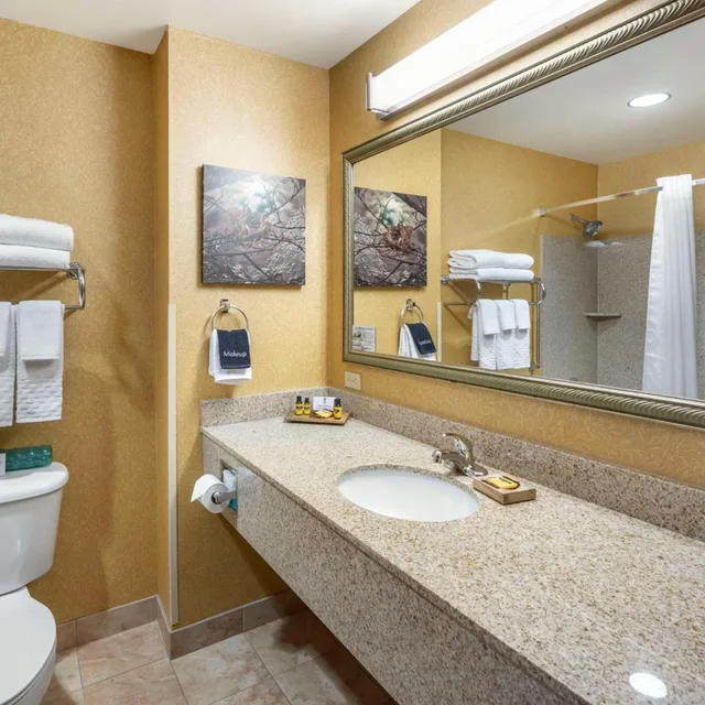 جناح بسريرين كوين لذوي الإعاقة، Best Western Plus Ponderay Mountain Lodge 5/5