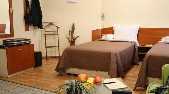 غرفة ديلوكس بسريرين منفصلين، Palitra Family Hotel 7/9